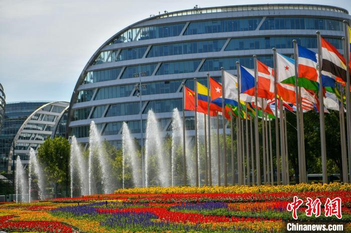 第五屆進(jìn)博會場館景觀裝飾全面定妝?！￡悏魸?攝