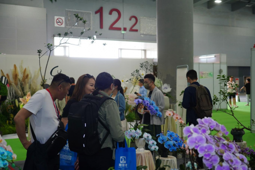 2024花城“新秀花事”亮點(diǎn)搶先看！和廣州國(guó)際花藝節(jié)一起解鎖“花經(jīng)濟(jì)”財(cái)富密碼(圖4)